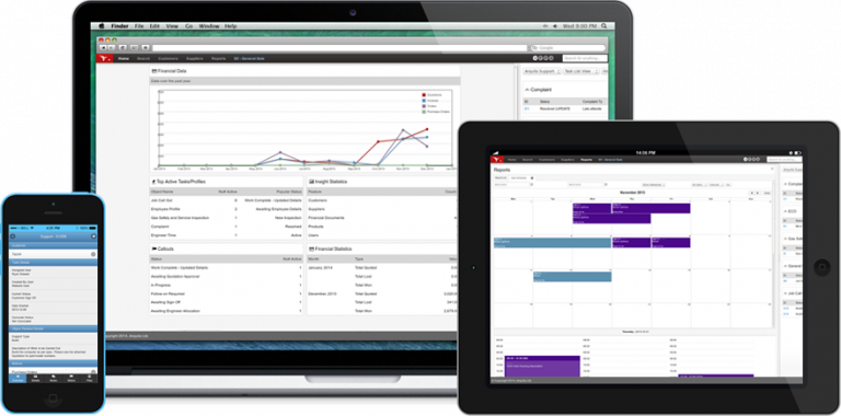 Insight Business Management Software - Binary Technologies